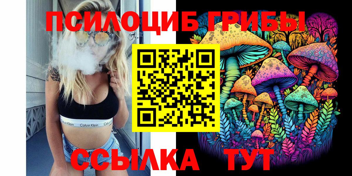 Нарткала  Псилоцибиновые грибы Psilocybine cubensis  Вход с VPN 