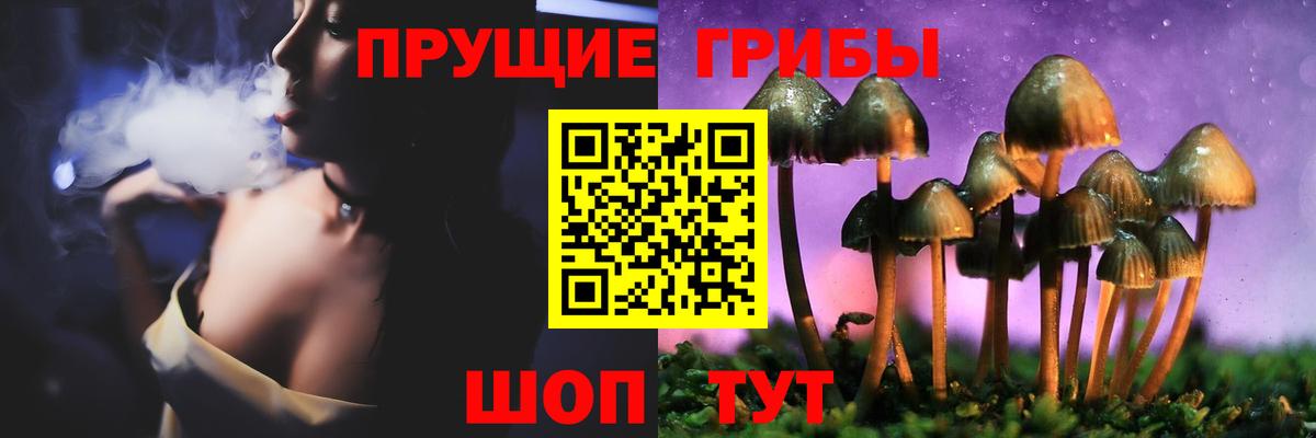 Псилоцибиновые грибы GOLDEN TEACHER Нарткала